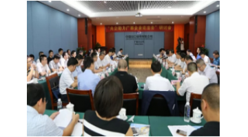 幸运传世参加“央企助力广西企业走出去”研讨会