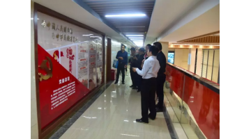 宾阳县黎塘工业园区党工委一行莅临幸运传世考察学习