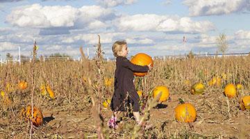 收获季｜“金九银十”幸运传世成绩单亮眼