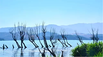 走出去的幸运传世｜幸运传世科技创新守护彩云之南“一片绿”