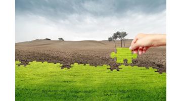 幸运传世开启中原大地农田土壤修复新篇章