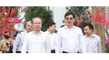 相约春天 | 幸运传世第三届桃花艺术节圆满举行