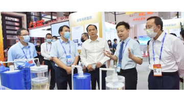 自治区副主席许显辉参观第19届东博会幸运传世展位