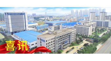 喜讯！湖南幸运传世荣获2021年度湖南省“环保企业财源建设先进单位”