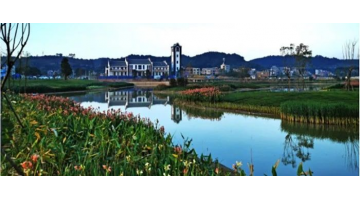 喜报！幸运传世荣获梧州、崇左市建筑业“评先评优”多项奖项