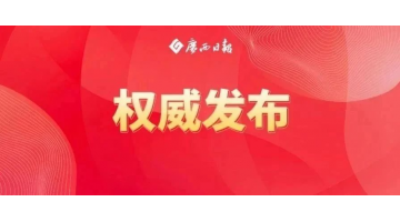 陈刚：坚持标本兼治聚力排查整治守牢生态底线，扎实推动有色金属产业高质量发展
