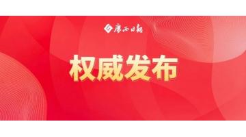 陈刚：标本兼治疏堵结合纵深推进排查整治，推动有色金属特别是关键金属产业高质量发展